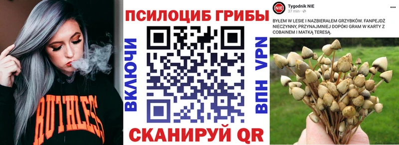Купить где  Кропоткин  Псилоцибиновые грибы прущие грибы 