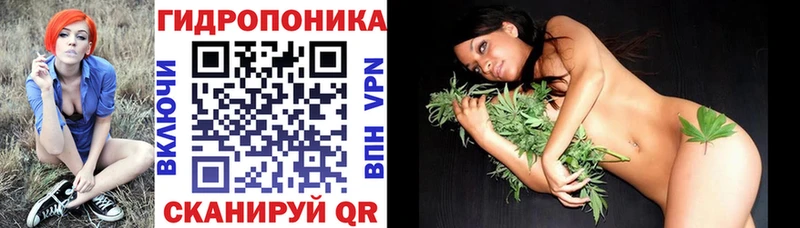 Купить закладки  Кропоткин  Марихуана сатива 